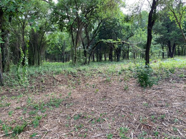 TBD E Farm to Market 455, Pilot Point, TX 76258