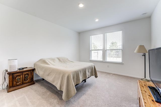 338 Shady Cedar Hill Lane, Conroe, TX 77378