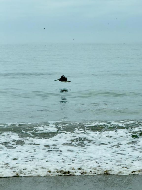 Image 33 of property listing at 423 Hillcrest Drive, Aptos, CA 95003