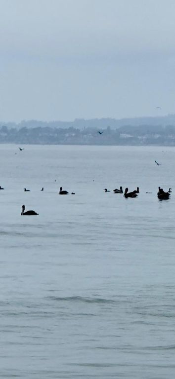 Image 34 of property listing at 423 Hillcrest Drive, Aptos, CA 95003