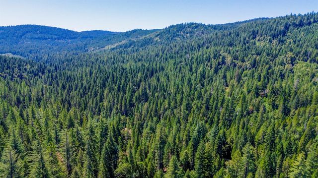 17017 Oregon Hill Rd, Challenge, CA 95925