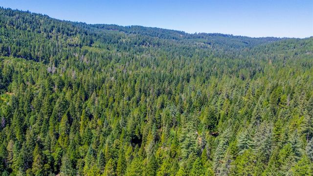 17017 Oregon Hill Rd, Challenge, CA 95925