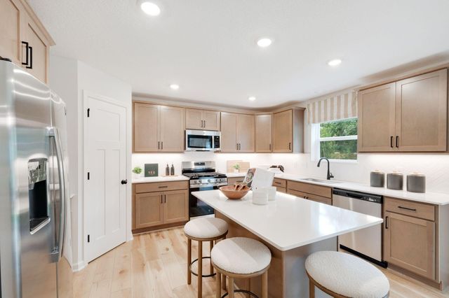 1133 Annagaire Curve, Rosemount, MN 55068