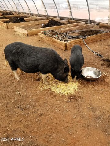 242 County Road N5427 Road, St Johns, AZ 85936