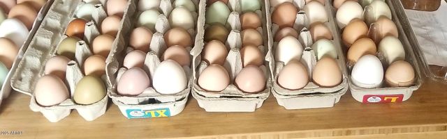 242 County Road N5427 Road, St Johns, AZ 85936