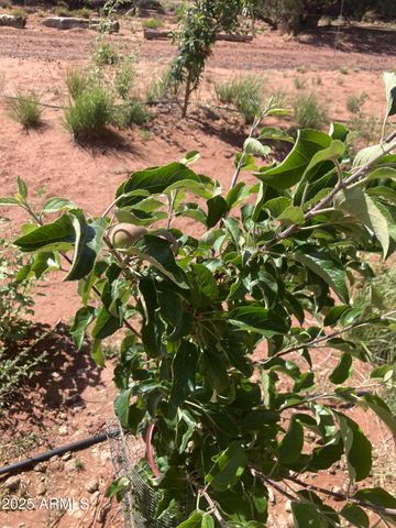 242 County Road N5427 Road, St Johns, AZ 85936