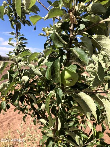 242 County Road N5427 Road, St Johns, AZ 85936