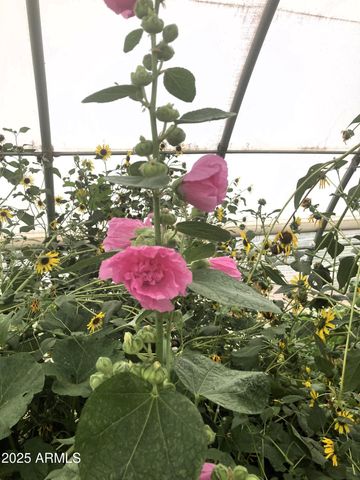 242 County Road N5427 Road, St Johns, AZ 85936