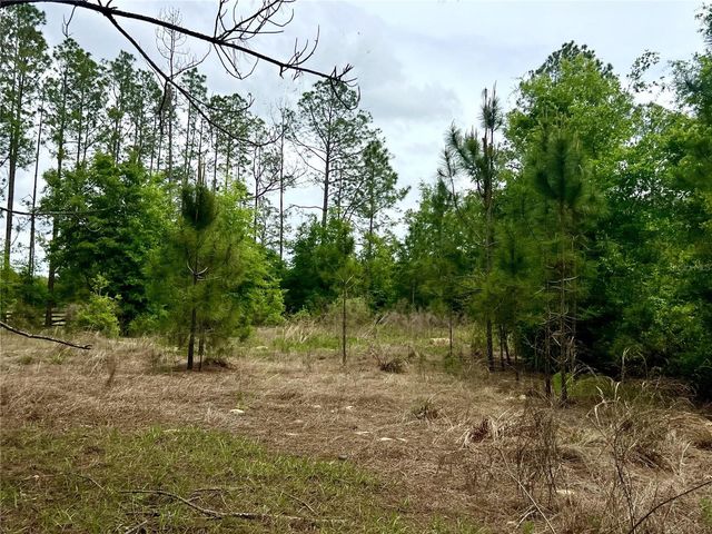 20825 COUNTY ROAD 44A, Eustis, FL 32736