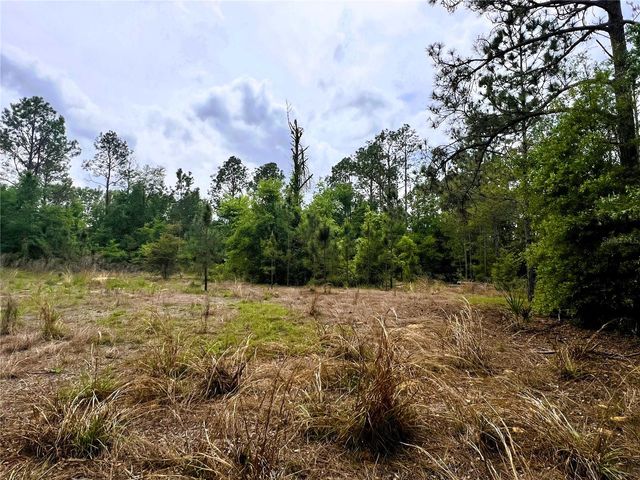 20825 COUNTY ROAD 44A, Eustis, FL 32736