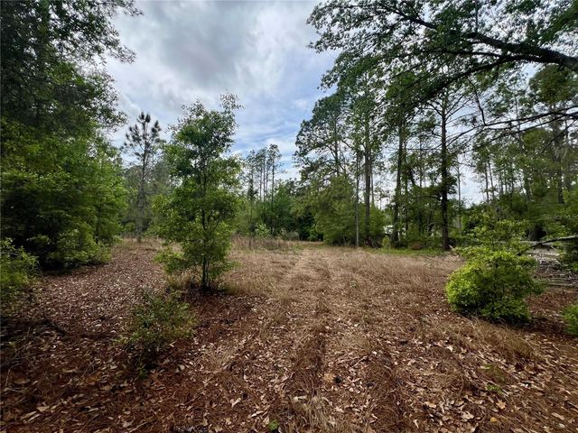 20825 COUNTY ROAD 44A, Eustis, FL 32736