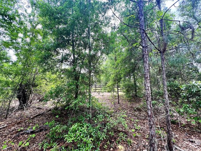 20825 COUNTY ROAD 44A, Eustis, FL 32736