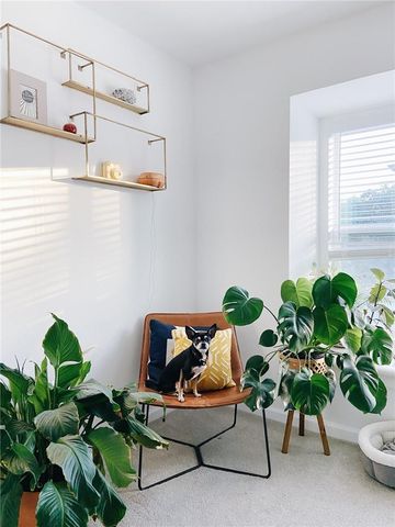 3604 Clawson RD 203, Austin, TX 78704