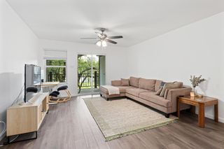 3604 Clawson RD 203, Austin, TX 78704