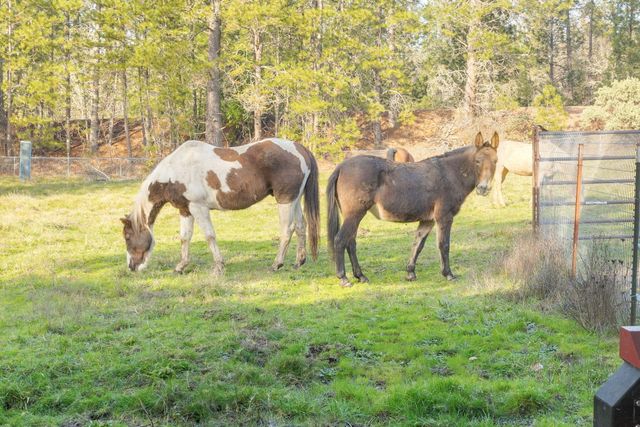 3990 Jerome Prairie Road, Grants Pass, OR 97527