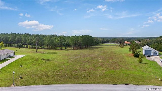 460 N Lake Shenandoah Loop, Inverness, FL 34453