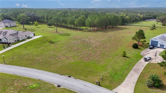 460 N Lake Shenandoah Loop, Inverness, FL 34453