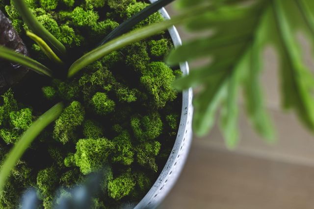 124 Paradise By The Sea Boulevard, Inlet Beach, FL 32461