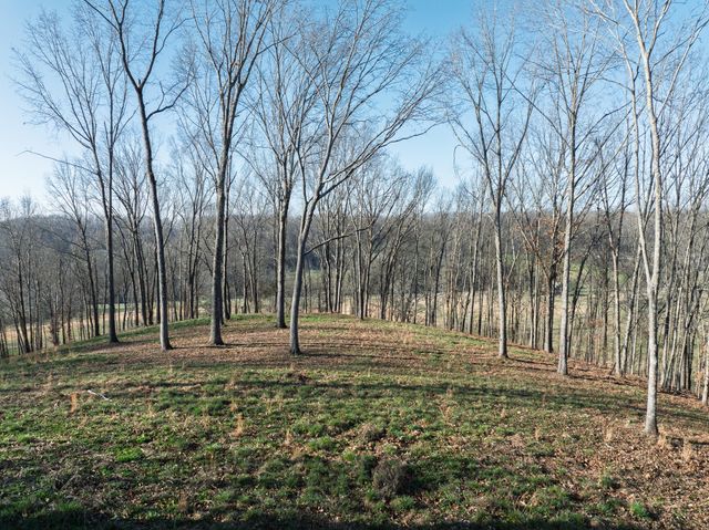 4648 Love Branch Rd, Hampshire, TN 38461