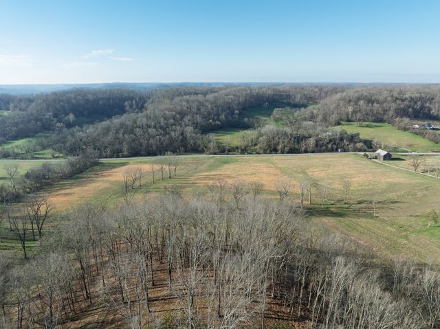 4648 Love Branch Rd, Hampshire, TN 38461