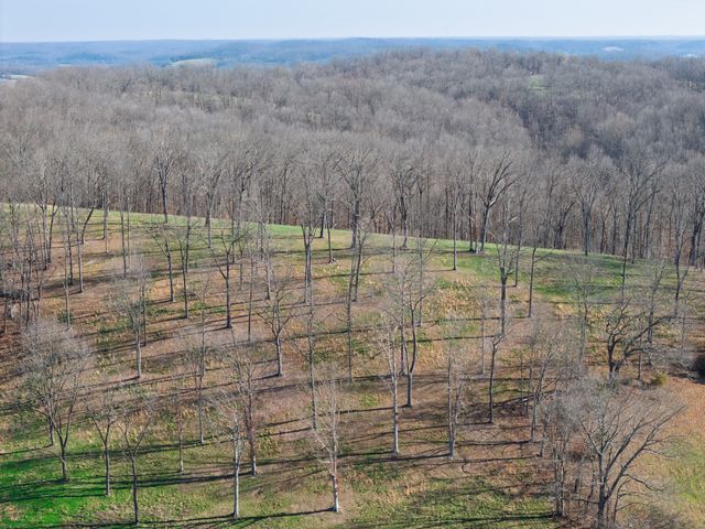 4648 Love Branch Rd, Hampshire, TN 38461