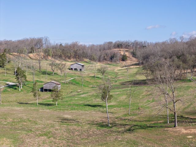 4648 Love Branch Rd, Hampshire, TN 38461