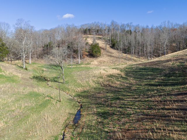 4648 Love Branch Rd, Hampshire, TN 38461