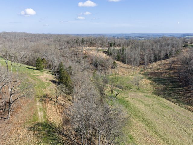 4648 Love Branch Rd, Hampshire, TN 38461