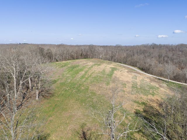 4648 Love Branch Rd, Hampshire, TN 38461