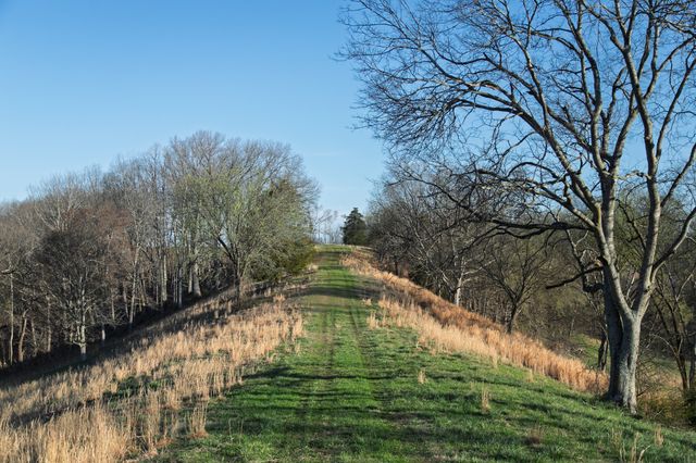 4648 Love Branch Rd, Hampshire, TN 38461