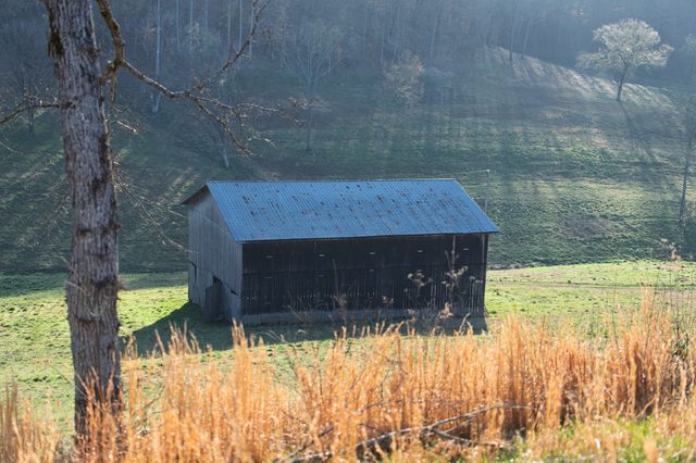 4648 Love Branch Rd, Hampshire, TN 38461