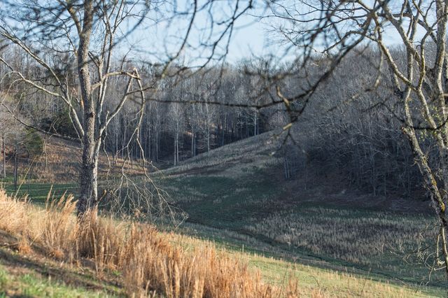 4648 Love Branch Rd, Hampshire, TN 38461