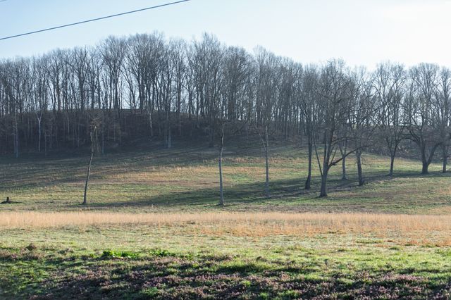 4648 Love Branch Rd, Hampshire, TN 38461