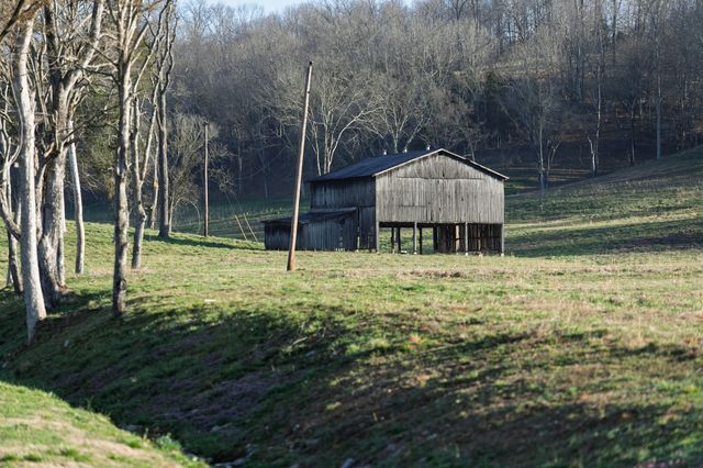 4648 Love Branch Rd, Hampshire, TN 38461