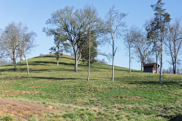 4648 Love Branch Rd, Hampshire, TN 38461