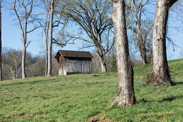 4648 Love Branch Rd, Hampshire, TN 38461