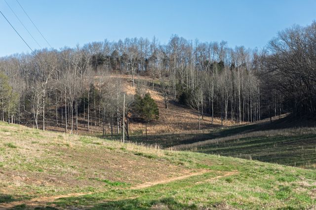 4648 Love Branch Rd, Hampshire, TN 38461