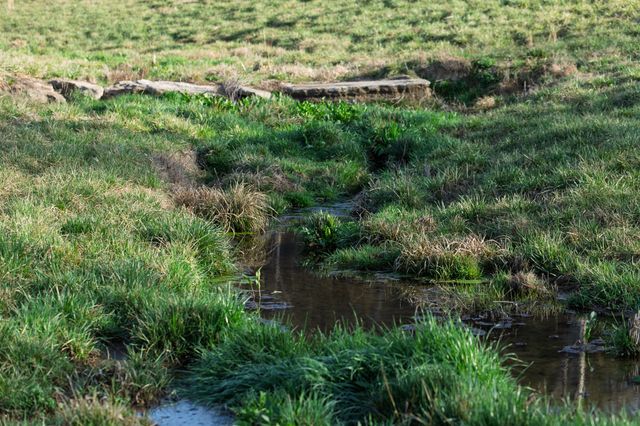 4648 Love Branch Rd, Hampshire, TN 38461