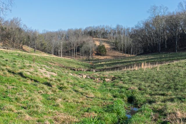 4648 Love Branch Rd, Hampshire, TN 38461