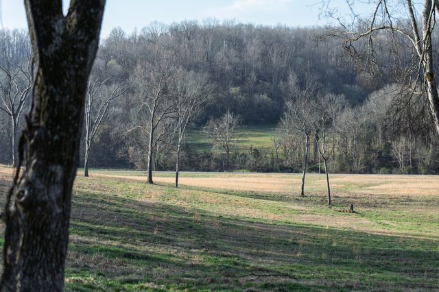 4648 Love Branch Rd, Hampshire, TN 38461