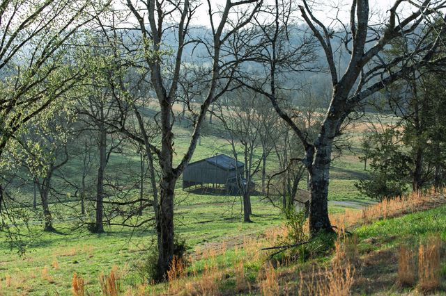 4648 Love Branch Rd, Hampshire, TN 38461