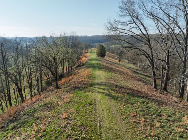 4648 Love Branch Rd, Hampshire, TN 38461