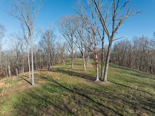 4648 Love Branch Rd, Hampshire, TN 38461