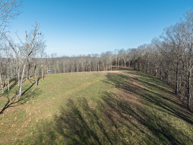 4648 Love Branch Rd, Hampshire, TN 38461