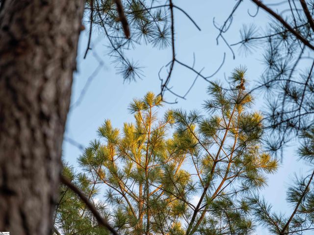 02 Concord Church Road, Pickens, SC 29671