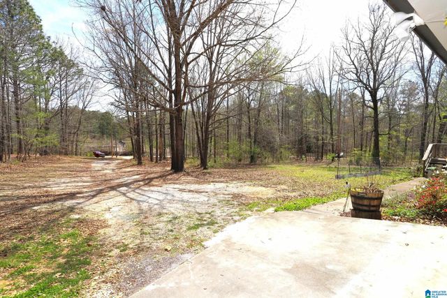 166 ROCK STORE ROAD, Sylacauga, AL 35150