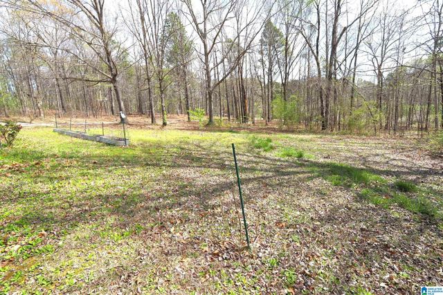 166 ROCK STORE ROAD, Sylacauga, AL 35150