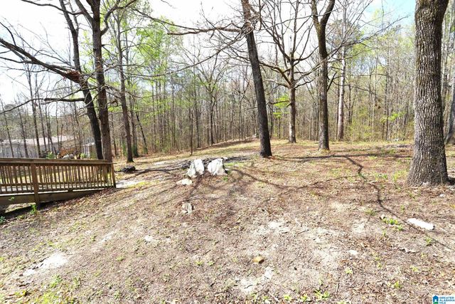 166 ROCK STORE ROAD, Sylacauga, AL 35150