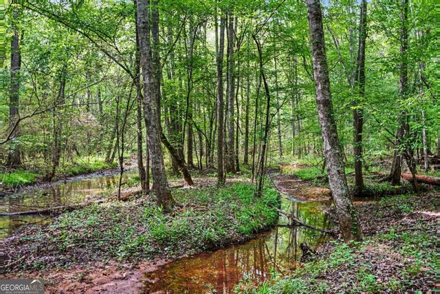 505 Barrington Farms Parkway, Sharpsburg, GA 30277