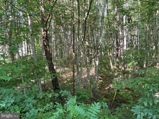 OVERTON DR, Bumpass, VA 23024